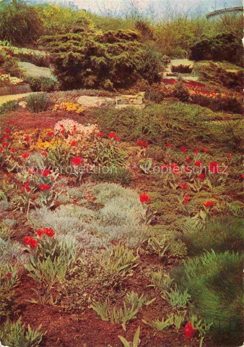 IGA Gartenbauaustellung International Erfurt Steingaerten Alpinum Aussichtsturm