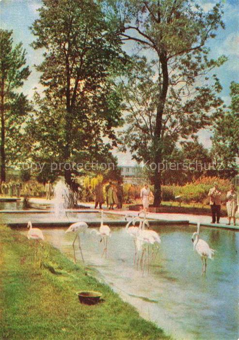 IGA Gartenbauaustellung International Erfurt Flamingos Wasserachse