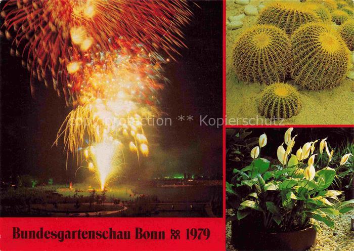 BUGA Bundesgartenschau Boon Japanischer Riesenfeuerwerk Rheinaue