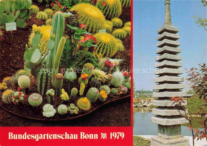 BUGA Bundesgartenschau Bonn Kakteen Blumenhalle Japanischer Garten