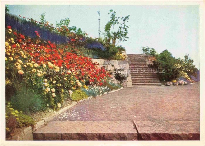 BUGA Bundesgartenschau Kassel Rosenhang Ausstellungsturm