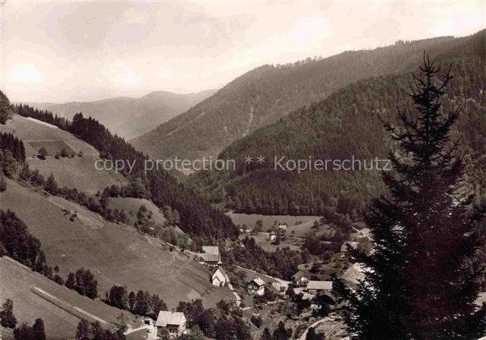 Wildgutach Simonswald Schwarzwald Panorama