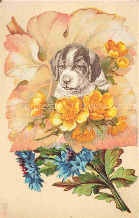 HUNDE dogs chiens-- Rosen Litho