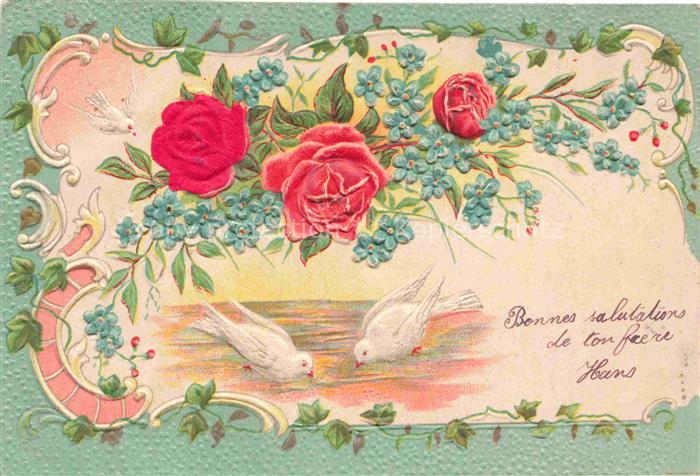 Tauben Pigeons Palomas-- Litho Rosen