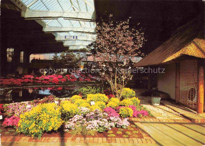 IGA Gartenbauaustellung International Hamburg Hallen Sonderschau