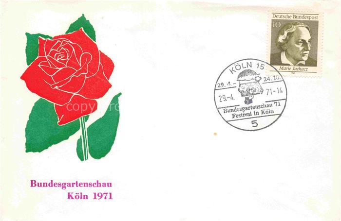 BUGA Bundesgartenschau Koeln Festival Rose