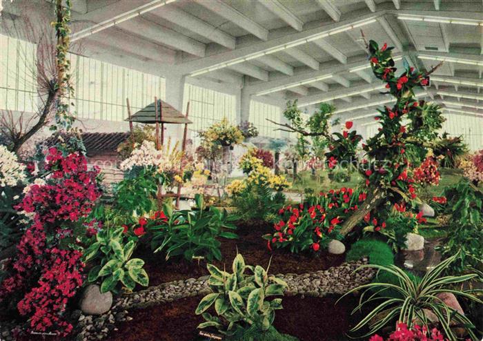 IGA Gartenbauaustellung International Hamburg Hallen Blumenschau