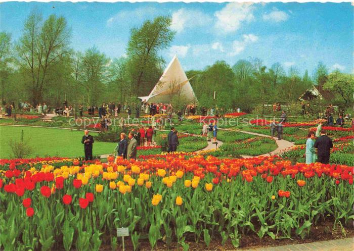 BUGA Bundesgartenschau Essen Rosengarten