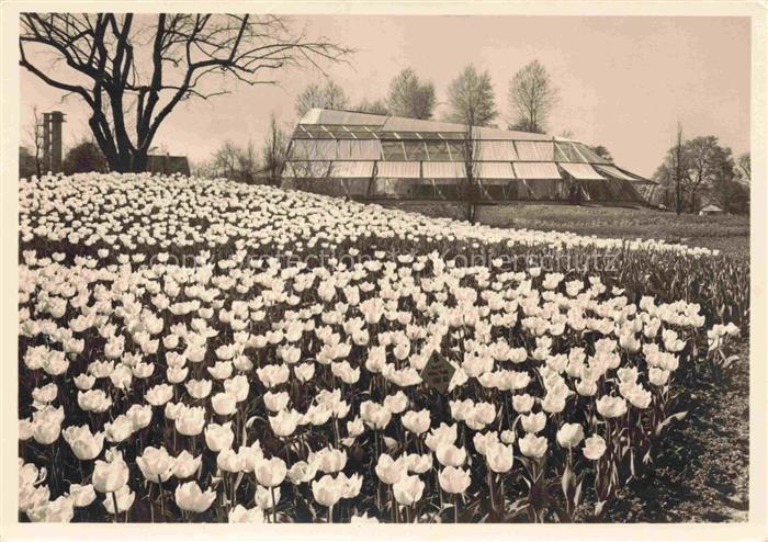 IGA Gartenbauaustellung International Hamburg