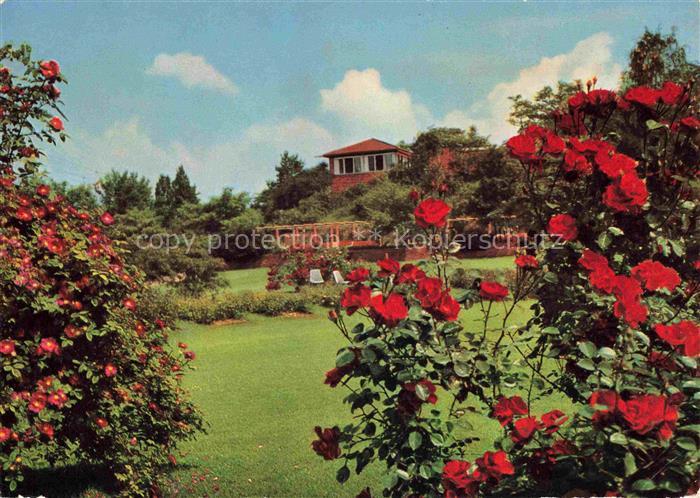 BUGA Bundesgartenschau Stuttgart Rosenbluete Pergula Hohencafe