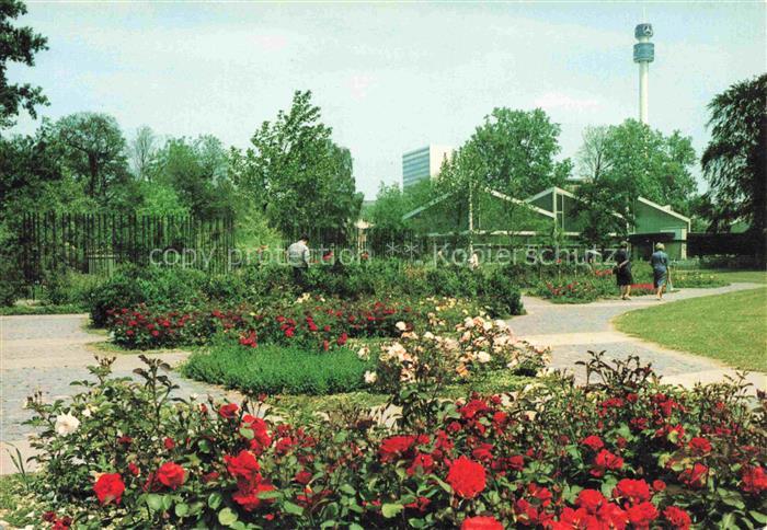 BUGA Bundesgartenschau Karlsruhe Nancyhalle Rosengarten