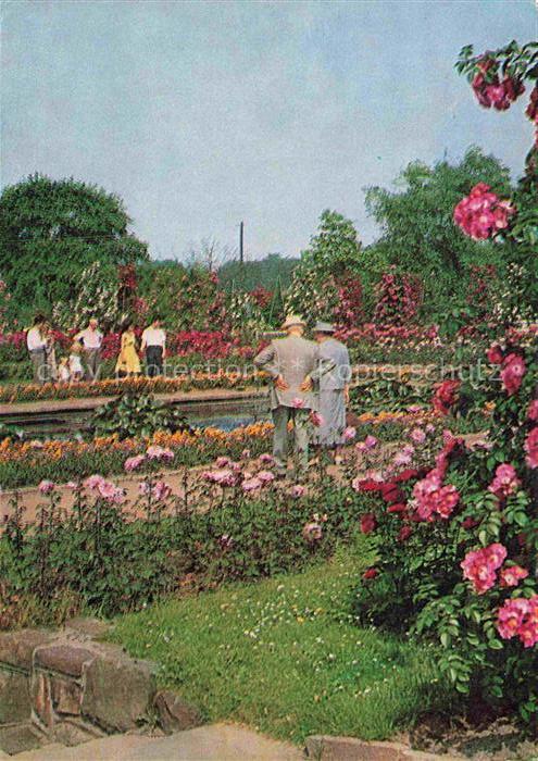 BUGA Bundesgartenschau Essen Rosengarten