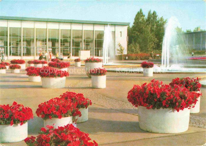 IGA Gartenbauaustellung International DDR Erfurt Festplatz Rosen