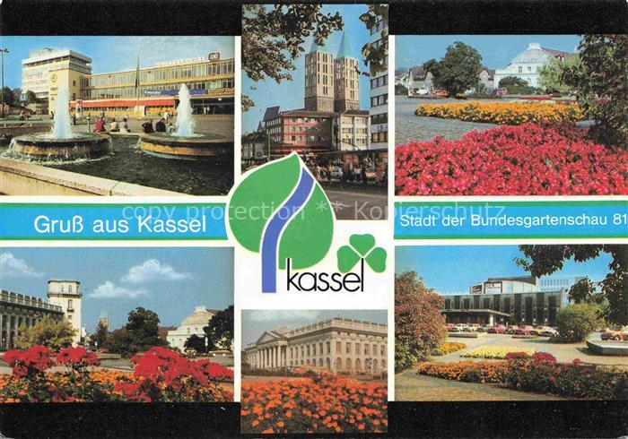 BUGA Bundesgartenschau Kassel Rosen Garten