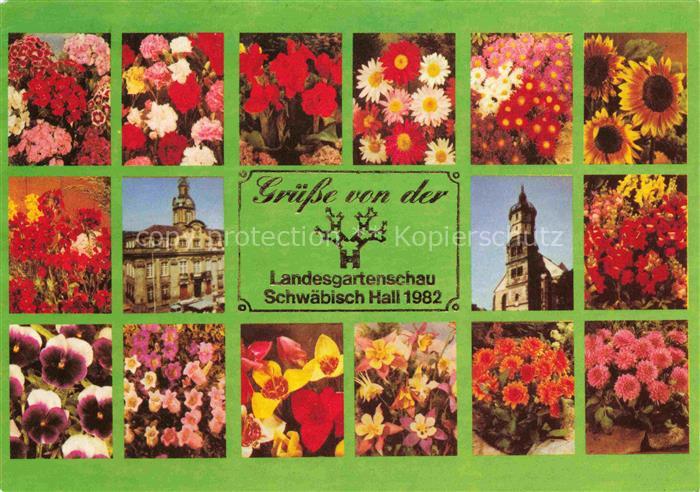 LAGA Landesgartenschau Schwaebisch Hall Rosen