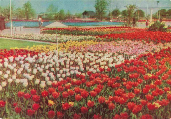 IGA Gartenbauaustellung International Erfurt DDR Rosen