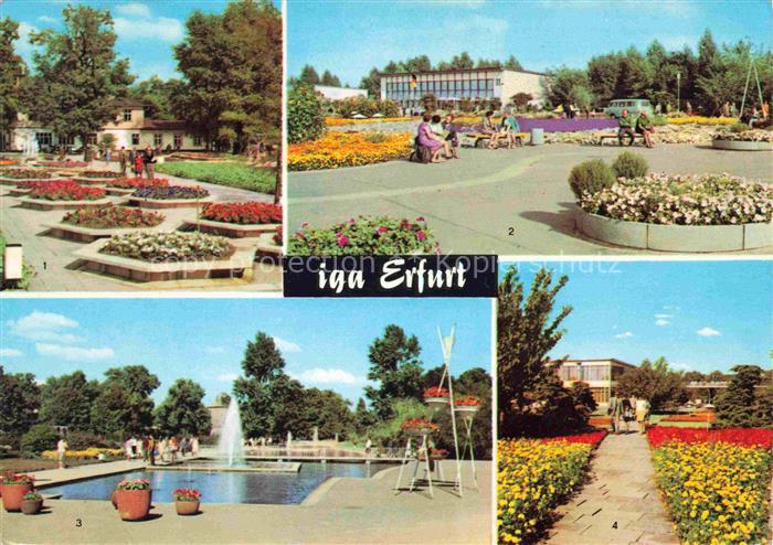 IGA Gartenbauaustellung International Erfurt Rosen Festplatz