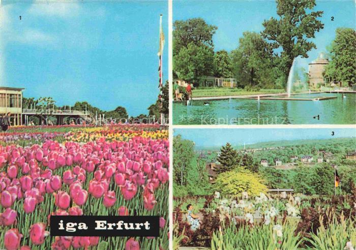 IGA Gartenbauaustellung International Erfurt Tulpenschau Wasserspiele
