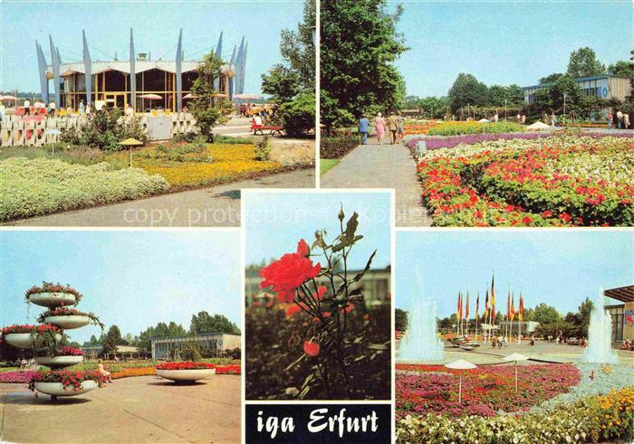 IGA Gartenbauaustellung International Erfurt DDR Rosen