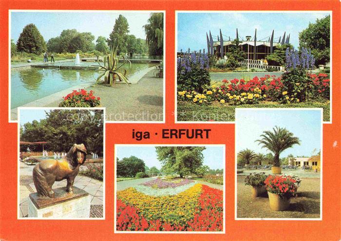 IGA Gartenbauaustellung International Erfurt DDR Rosen