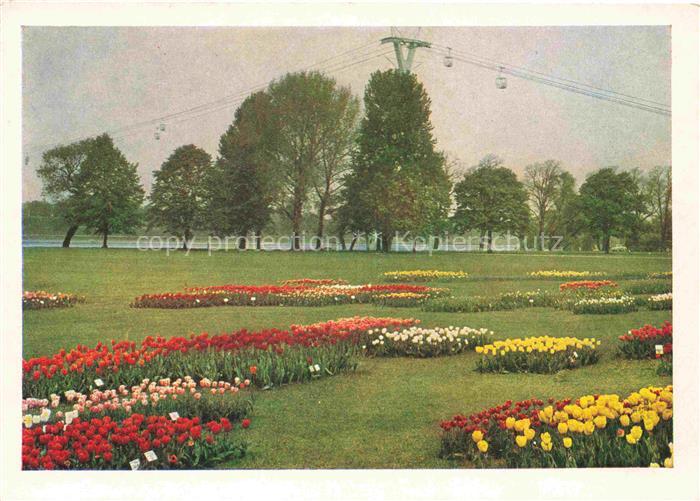 BUGA Bundesgartenschau Tulpen Rheinseilbahn