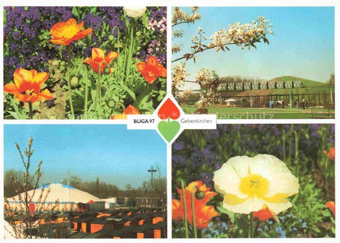BUGA Bundesgartenschau Gelsenkirchen Rosen