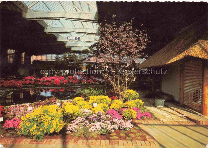 IGA Gartenbauaustellung International Hamburg Hallen Sonderschau Rosen