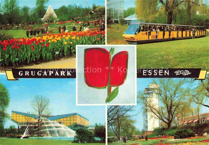 Grugapark GRUGA Ausstellungspark EssEN Ruhr Tulpen Kleinbahn Wasserspiele