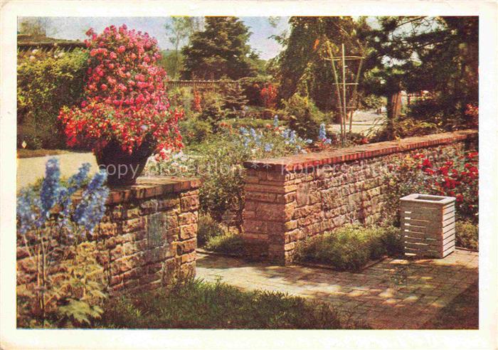 IGA Gartenbauaustellung International Hamburg Teilstueck Rosenhof