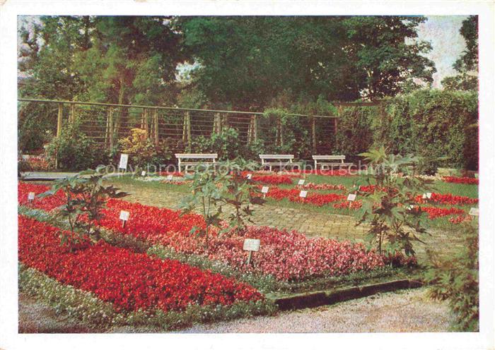 IGA Gartenbauaustellung International Erfurt Begoniengarten Blumen