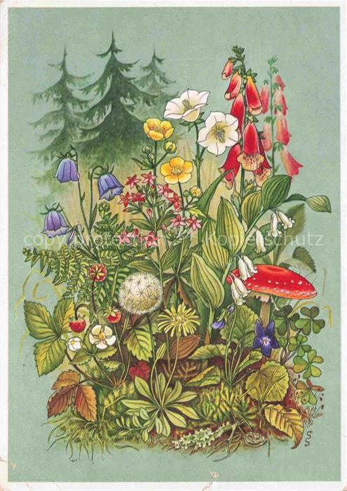 LAGA Landesgartenschau Reichsgartenschau Stuttgart Waldblumen