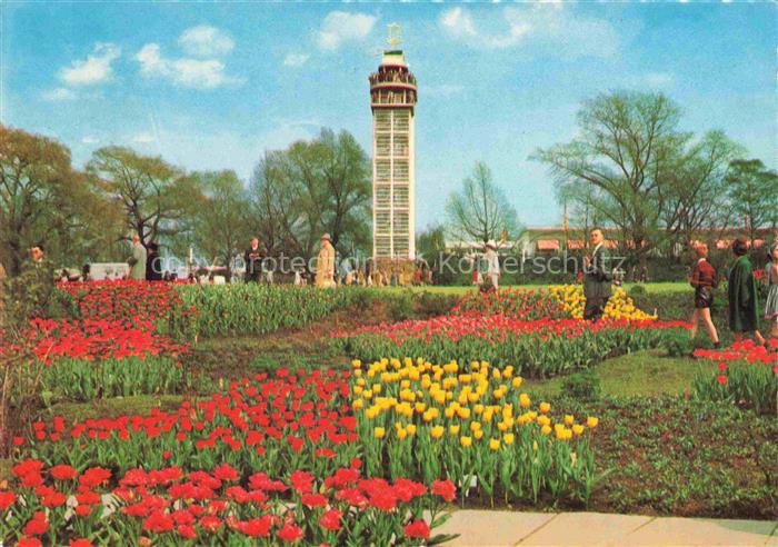 BUGA Bundesgartenschau Essen Rosen