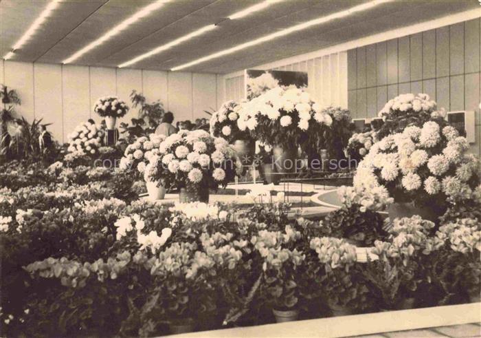 IGA Gartenbauaustellung International Erfurt DDR Blumen