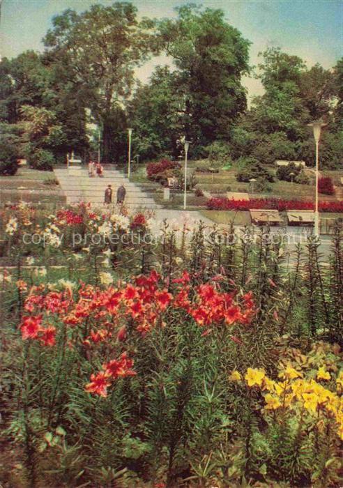 IGA Gartenbauaustellung International Erfurt DDR Lilien bluehen