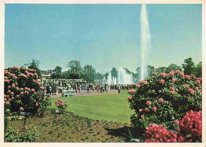 LAGA Landesgartenschau Ausstellungspark Hamburg Wasserspiele Rhododendren