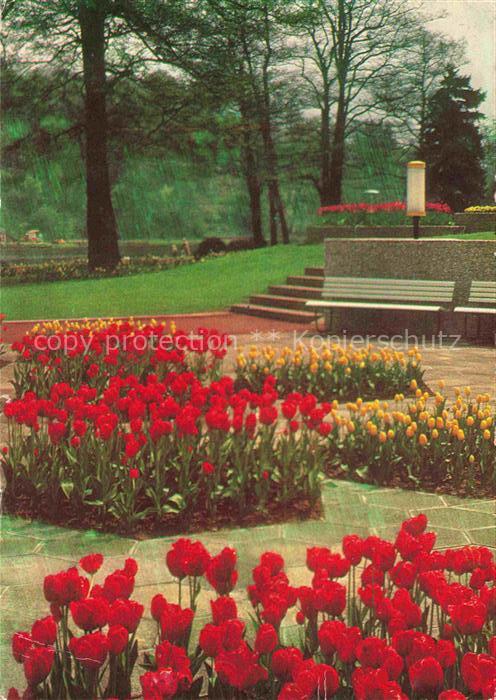 BUGA Bundesgartenschau Tulpen Hexagongarten Silberahorn Saarbruecken