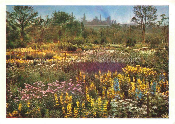 BUGA Bundesgartenschau Dortmund Staudengarten