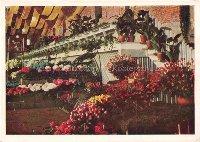 BUGA Bundesgartenschau Kassel Sonderschau Orangerie