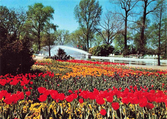 BUGA Bundesgartenschau Koeln Park Café Tulpen