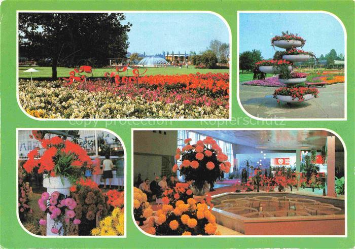 IGA Gartenbauaustellung International DDR Erfurt Rosen