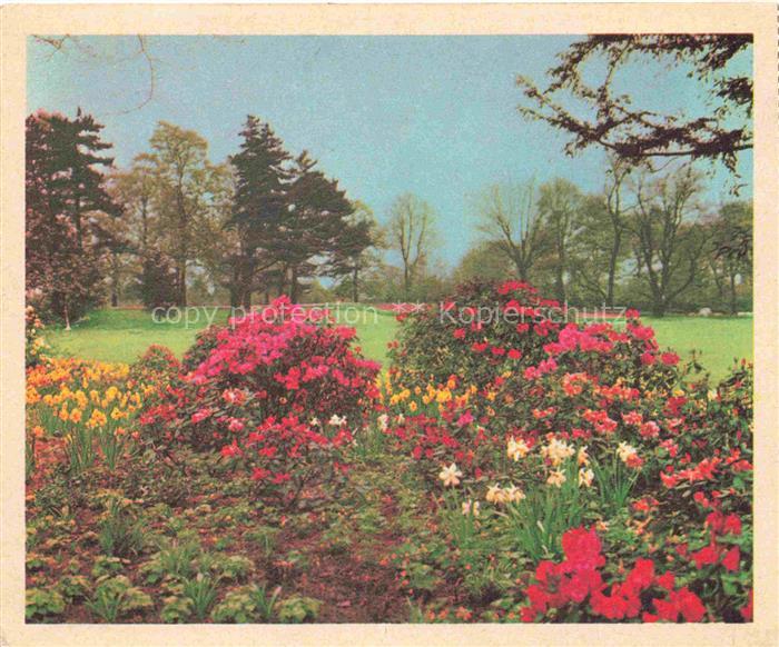 BUGA Bundesgartenschau Dortmund Bluetenpracht