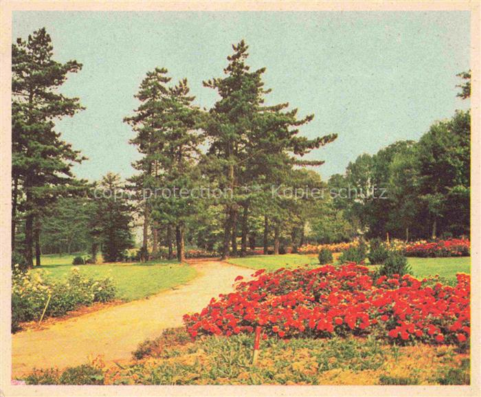 BUGA Bundesgartenschau Rosenmotiv