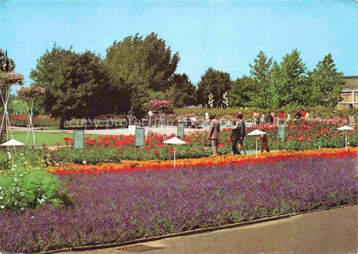 IGA Gartenbauaustellung International Erfurt Rosen Wasserspiele