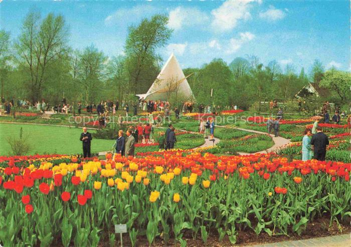 BUGA Bundesgartenschau Essen Tulpen