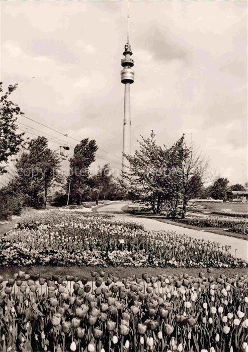 BUGA Bundesgartenschau Dortmund Tulpen Fernmeldeturm