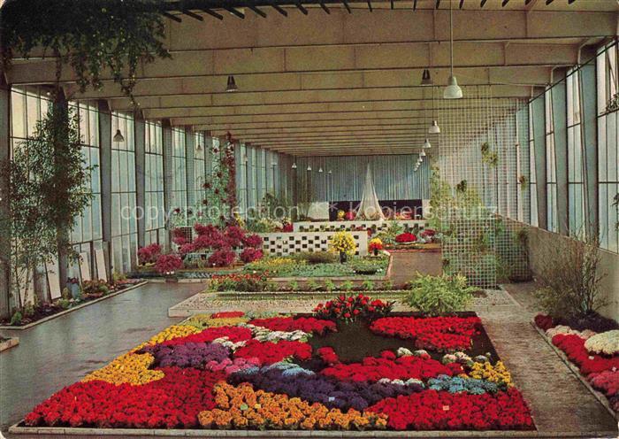 BUGA Bundesgartenschau Stuttgart Blumenpracht Hallen Sonderschau