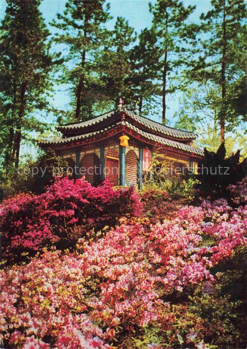 BUGA Bundesgartenschau Dortmund Teehaus Japangarten