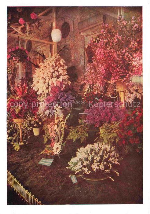 BUGA Bundesgartenschau Kassel Sonderschau Orangerie