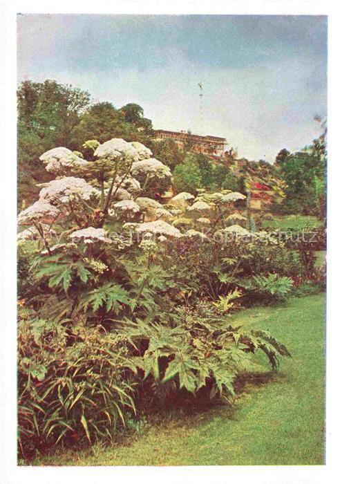 BUGA Bundesgartenschau Staudengruppe