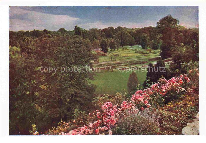 BUGA Bundesgartenschau Kassel Rosen